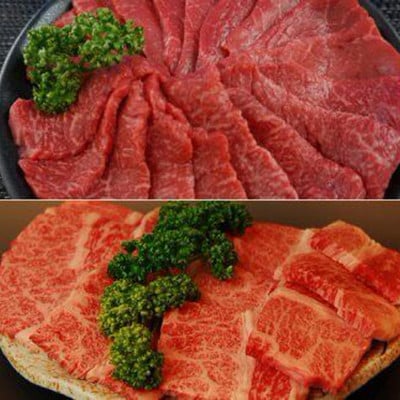 但馬牛　モモ＆カルビ　焼肉用　800g　兵庫県産　国産【配送不可地域：離島】