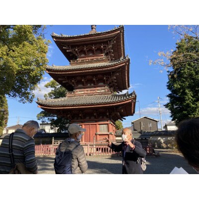 斑鳩寺参拝と七色ブレスレット作りSサイズ8mm【体験チケット】