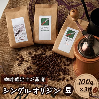シングルオリジン【豆】　3種セット　100g×3種【配送不可地域：離島】