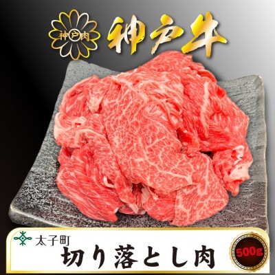 訳あり神戸牛　TSS1　切り落とし肉　500g【配送不可地域：離島】