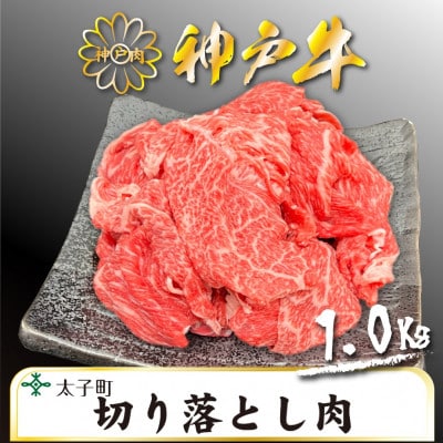 訳あり神戸牛　TSS2S　切り落とし肉　500g×2【配送不可地域：離島】