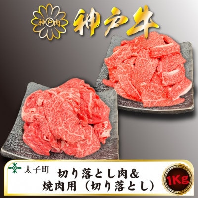訳あり神戸牛　TSSY2S　切り落とし・焼肉(不揃い)　500gずつセット【配送不可地域：離島】
