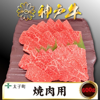 神戸牛　TSY2　焼肉用　600g【配送不可地域：離島】