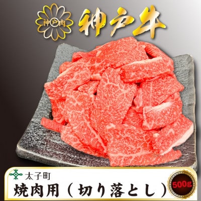 訳あり神戸牛　TSY1　焼肉用(切り落とし)　500g【配送不可地域：離島】