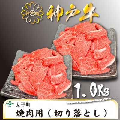 訳あり神戸牛　TSY2S　焼肉用(切り落とし)　500g×2【配送不可地域：離島】