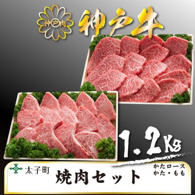 神戸牛　TSYS5　焼肉用セット　合計　1200g【配送不可地域：離島】