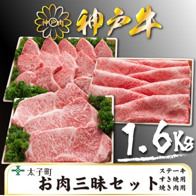 神戸牛　TSLS10　お肉三昧セット　合計　1600g【配送不可地域：離島】
