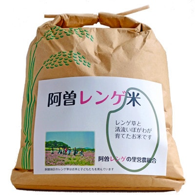 令和6年産　阿曽レンゲ米(コシヒカリ15kg)【玄米】