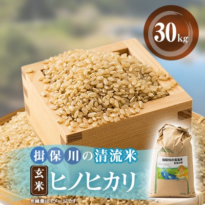 令和6年産　揖保川の清流米(ヒノヒカリ30kg) 【玄米】