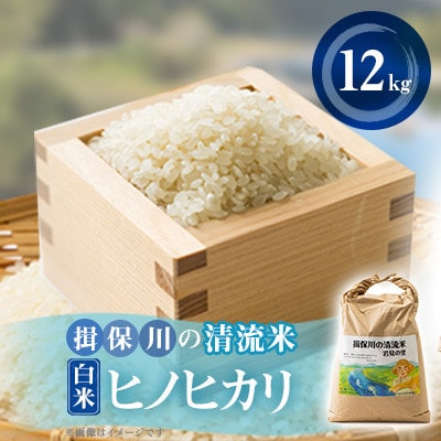 令和6年産　揖保川の清流米(ヒノヒカリ12kg)　【白米】