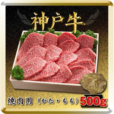 神戸牛 焼き肉用 500g TSY2 【2026年4月より順次発送】【配送不可地域：離島】