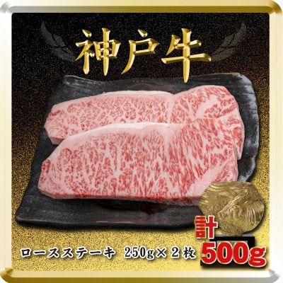 神戸牛 ロースステーキ 250g×2枚 計500g TSST5 【2026年4月より順次発送】【配送不可地域：離島】