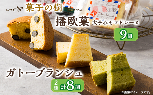 播欧菓～太子みそマドレーヌ～とガトーブランジュ詰め合わせ【配送不可地域：離島】