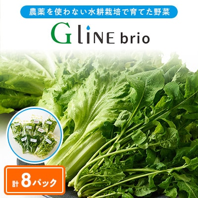 【毎月定期便】G Line brio レタス8パックセット全2回【配送不可地域：離島】