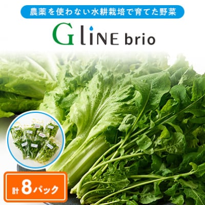 【毎月定期便】G Line brio レタス8パックセット全3回【配送不可地域：離島】