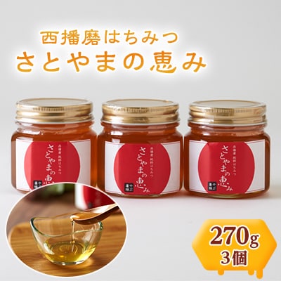 西播磨はちみつ　さとやまの恵み　270g×3本セット