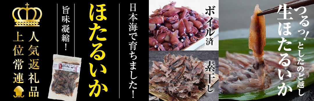 🦑大人気ほたるいかの返礼品🦑