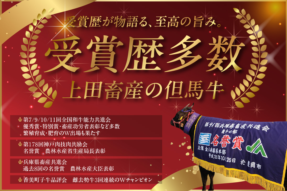 【究極の但馬牛 “但馬玄” メンチカツ】冷凍 配送日指定不可 但馬玄 あっさり 脂 最高級 但馬牛 和牛 牛肉 挽肉 ひき肉 小分け メンチカツ 時短 惣菜 おかず 弁当 お惣菜 夕飯 晩御飯 料理 冷凍食品 フライ 揚げ物 大人気 おすすめ ふるさと納税 返礼品 兵庫県 香美町 村岡 上田畜産 TJM 22000円 01-03