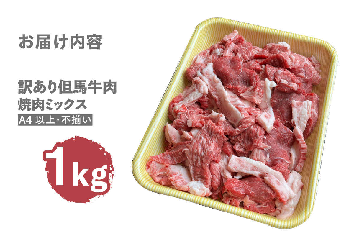 《12/21まで年内発送》【訳あり 但馬牛 焼肉ミックス 1kg】冷凍 訳あり A4以上 不揃い 牛肉 和牛 焼肉 人気 国産 アウトドア キャンプ BBQ  食べ比べ お取り寄せ 但馬 神戸 兵庫県 香美町 村岡ファームガーデン 02-40