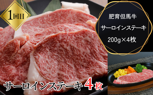 【但馬牛肉プレミアム定期便（計5回）】※月に1回お届け。配送日の指定はできません。日本の黒毛和牛のルーツは香美町にあり 但馬牛は神戸牛、仙台牛、飛騨牛のルーツ牛 大人気 サーロイン ロース カルビ ヒレ 牛肉 焼肉 すき焼き しゃぶしゃぶ ステーキ ハンバーグ コロッケ 切り落とし 赤身 ブランド 和牛 但馬 神戸 香美町 村岡 但馬牛専門店 牛将村岡ファームガーデン 260,000円 02-30