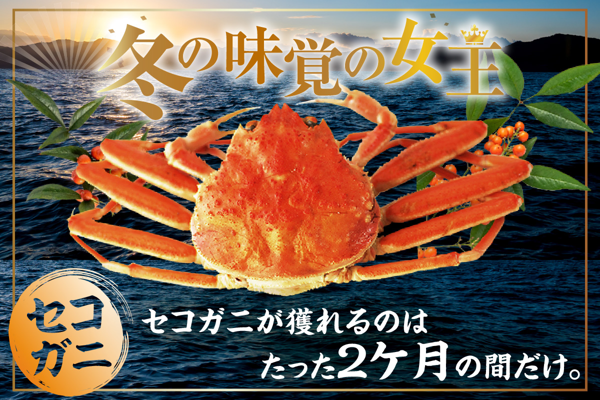 セコガニ 訳あり 約120g×10匹 冷凍 かに カニ 香美町 07-117 10匹