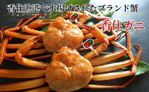 活〆 タグ付き 香住ガニ 特々大 約1.0kg×2匹（合計約2.0kg以上）冷凍 【令和8年2月中旬以降発送予定】 大人気 返礼品 おすすめ ランキング 国産 カニ かに 蟹 本場 香住 急速冷凍 ベニズワイガニ しゃぶしゃぶ 刺身 かにすき 焼きガニ ふるさと納税 兵庫県 香美町 日本海フーズ 40000円 KMG 07-114