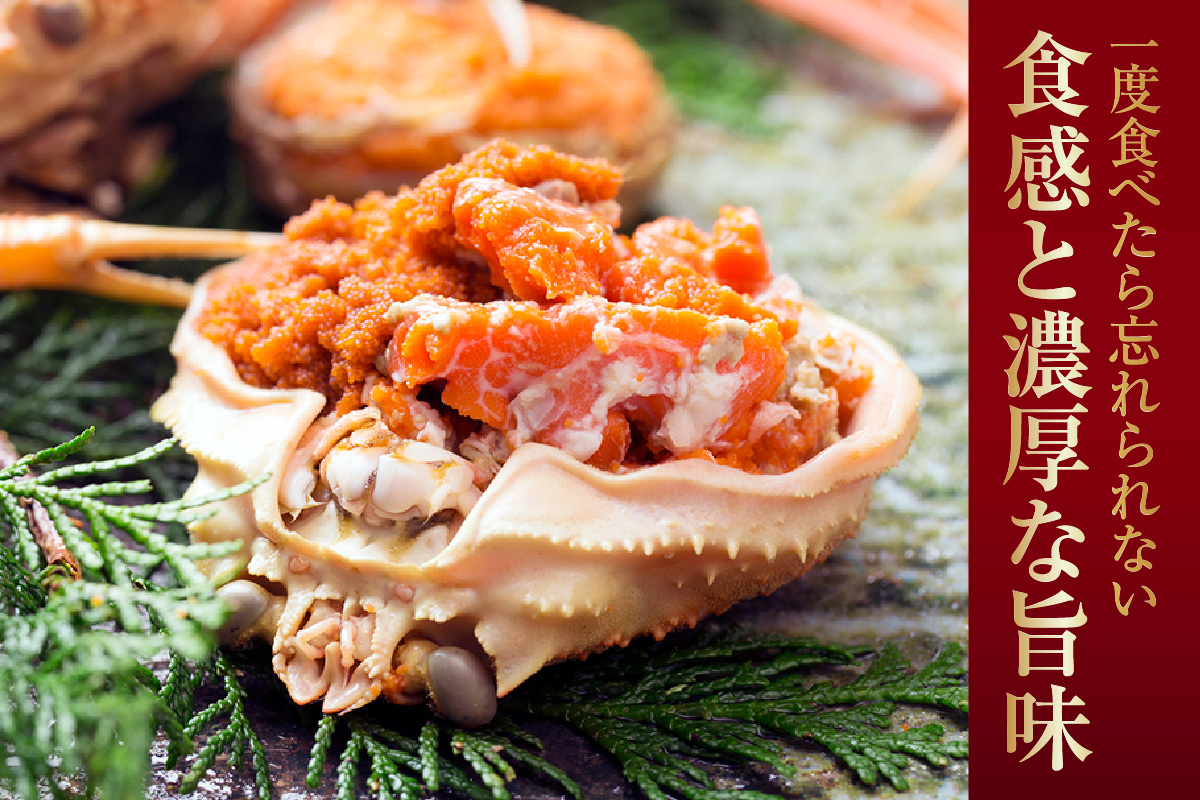 【セコガニ 釜茹で 甲羅盛り 約70～80g（甲羅含む）×2個 冷凍】発送目安：ご入金確認後、順次発送予定 申込状況によっては1か月程度かかる場合もございます 本場 香住産 内子 外子 蟹身 かにみそ 香住 海鮮 国産 かに カニ 蟹 松葉がに メス せこがに 大人気 おすすめ 返礼品 ふるさと納税 兵庫県 香美町 日本海フーズ 07-115