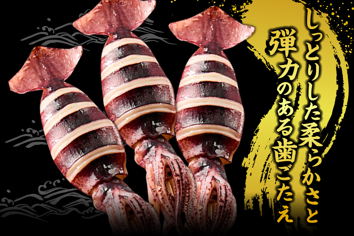 【 蒸しイカ 串付き 串イカ 3尾入り（約100g～130g×3尾）冷凍 】発送目安：ご入金確認後1ヶ月程度 新鮮 スチーム 旨み 凝縮 屋台 イカ焼き 食べ応え 抜群 いか イカ 串 蒸しイカ バーベキュー 焼肉 鉄板焼き BBQ キャンプ 国産 ランキング 大人気 人気 おすすめ 兵庫県 香美町 香住 6000円 1万円以下 モリタ食品 10-20 3尾
