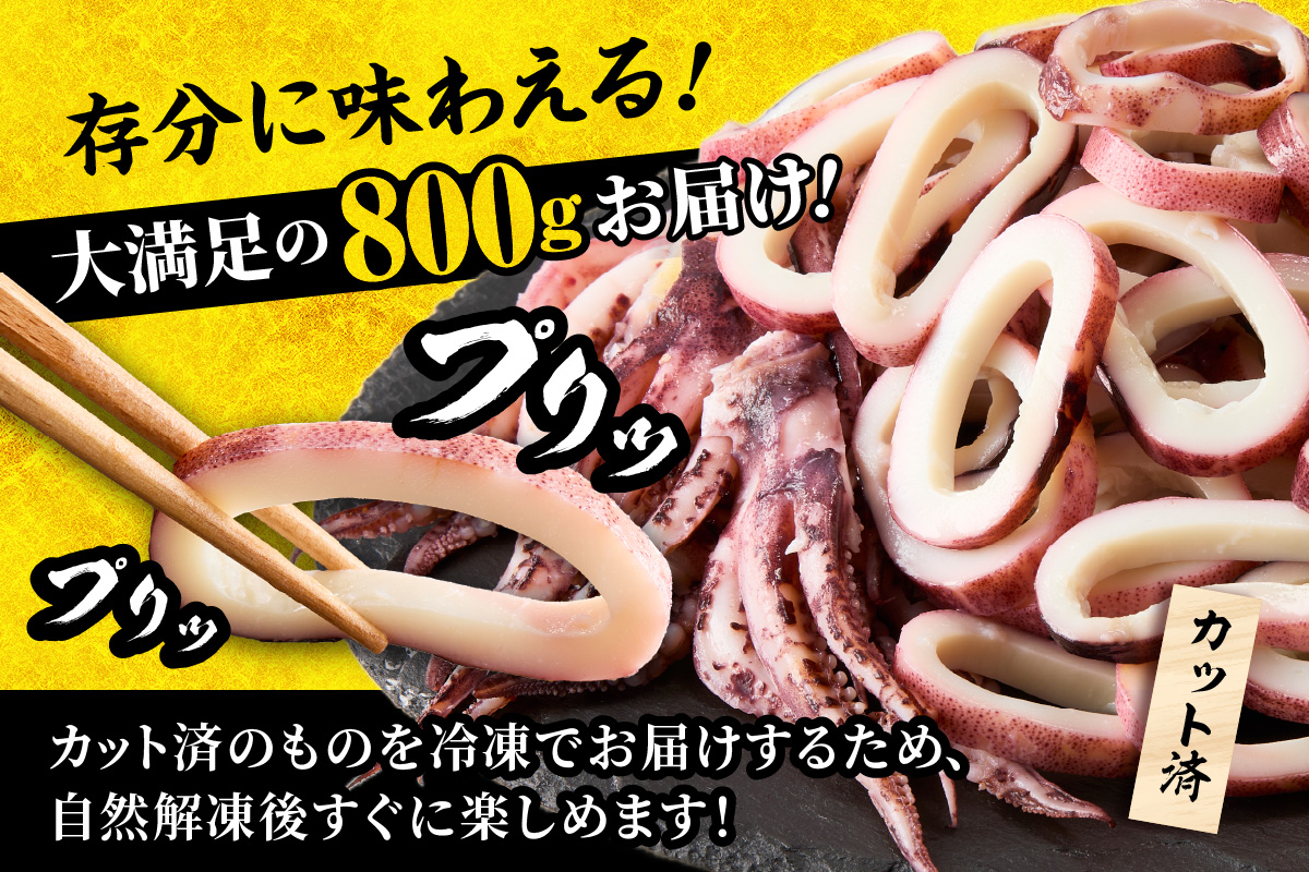 蒸しイカリング カラシ酢味噌付き 約100g×8P 合計約800g 冷凍 いか イカ 香美町 10-24