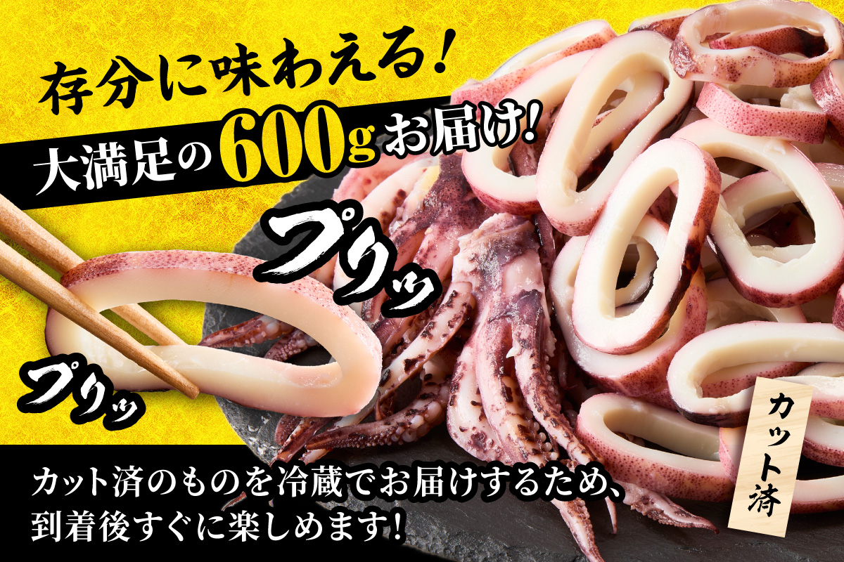 【 イカリング 蒸しイカリング 600g（1パック約200g×３パック）からし味噌付き 冷蔵 】新鮮 商品到着後すぐに食べられる便利な商品 大型蒸し器でスチームし旨味を凝縮 食べ応え抜群 発送目安：入金確認後１ヶ月程度 イカフライ 蒸しイカ バーベキュー 焼肉 鉄板焼き BBQ キャンプ 国産 兵庫県 香美町 香住 ふるさと納税 人気 10000 10000円 一万円 以下 モリタ食品 10-11 約600g
