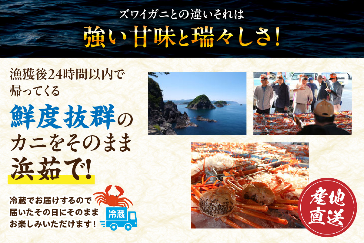 【香住ガニ フレッシュむき身セット 1kg 冷蔵】カニの本場 香住産 最上質な香住ガニを釜茹で カニの旨味と甘味が抜群 丁寧にむき身したフレッシュ棒身とほぐし身のセット 足 爪 身 脚 ボイル かに カニ 蟹 大人気 おすすめ 兵庫県 香美町 マルヤ水産 11-01 ☆