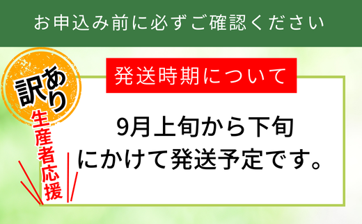 2026年産 先行予約【梨 訳あり 20世紀梨 5kg（10～18玉）】生産者応援商品！ 9月上旬～下旬にかけて発送予定 数量限定 ご家庭用 ジャム 加工用 傷あり 不揃い 訳あり 二十世紀梨 兵庫県  香美町 香住梨 フルーツ ナシ 青梨 和梨 JAたじま 10000円 12-23
