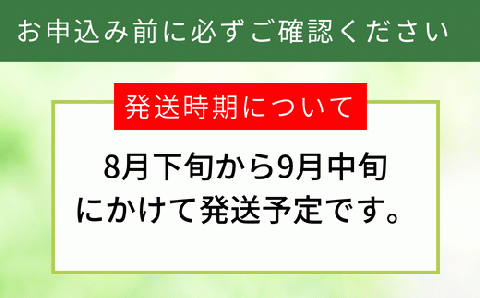 2026年産 先行予約【梨 20世紀梨 香住梨 5kg 小さめ（1玉250g～300gを16～20玉）】8月下旬～9月中旬にかけて発送予定 二十世紀梨  小玉 シャキシャキ 甘味 瑞々しさ 香住梨 フルーツ フルーツ先行予約 果物 贈答品 ギフト なし ナシ 和梨 青梨 大人気 おすすめ ランキング 兵庫県 香美町 香住 JAたじま 16000円 12-09
