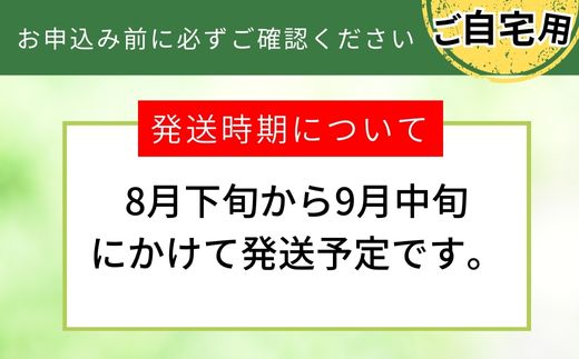 2026年産 先行予約【20世紀梨 ご自宅用 5kg サイズ L～5L混合（10～18玉）】8月下旬～9月中旬にかけて発送予定 ご自宅用  二十世紀梨 シャキシャキ 甘味 瑞々しさ 香住梨 フルーツ フルーツ先行予約 果物 なし ナシ 和梨 青梨 大人気 おすすめ ランキング 兵庫県 香美町 香住 JAたじま 12000円 12-20