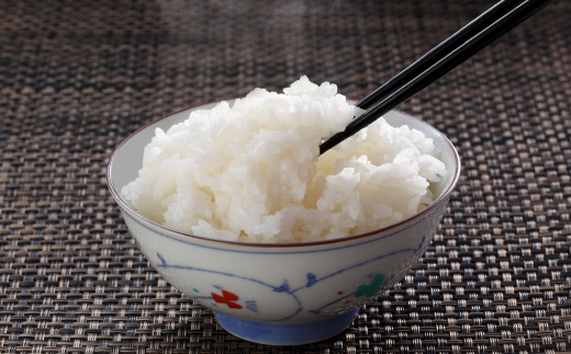 【兵庫県香美町産コシヒカリ】「とろかわの恋（極）」おためし6合（2合×3） 香美ブランド米 但馬堆肥米 お米 白米 兵庫県 香美町 香住 アグリロード村岡 13-03