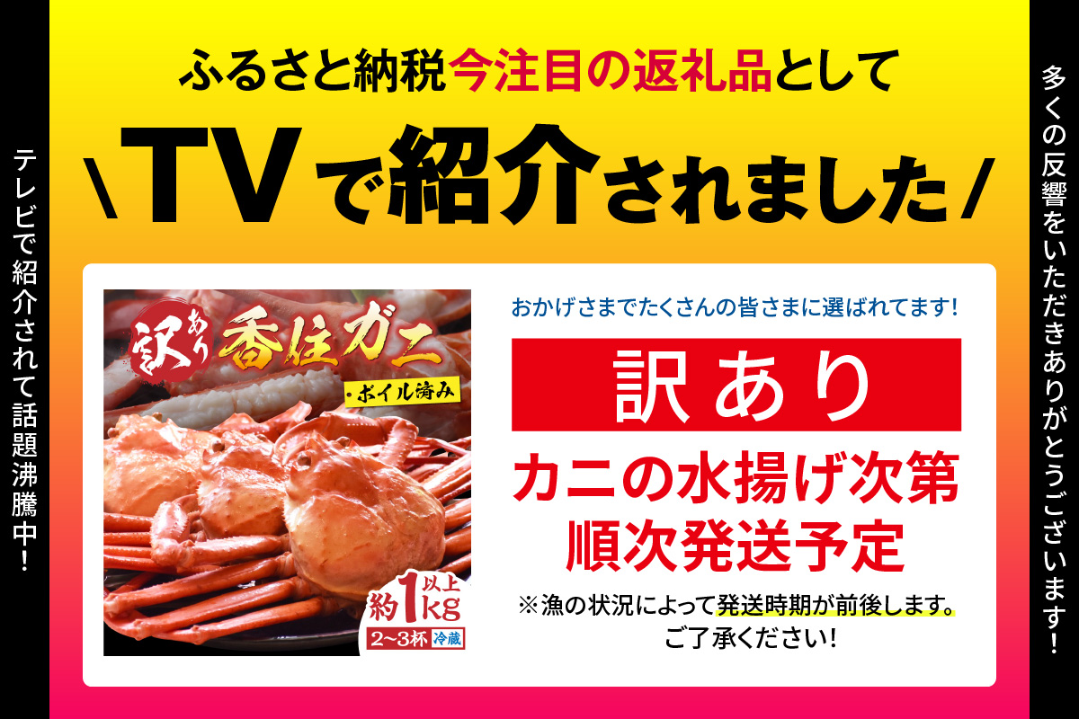 〈カンテレ「やすとも・友近のキメツケ！」で紹介！〉【訳あり 香住ガニ 浜茹で 2～3杯 約1kg以上 1～2本指落ち 冷蔵】【令和8年2月以降発送予定】 TVで紹介 国産 香住 日本海 カニ かに 蟹  爪 身 脚 しゃぶ ベニ ズワイガニ 紅 べに ずわいがに 訳あり ご自宅用 大人気 ふるさと納税 返礼品 おすすめ 兵庫県 香美町 丸近 19-09 ☆