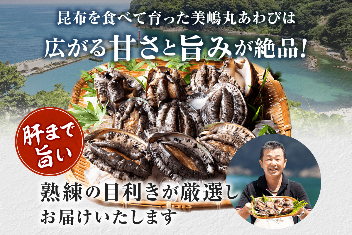 《12/21まで年内発送》【冷蔵 活あわび 養殖 9cm×2枚 160～200g (1個80～100g）】満点青空レストラン うまい！おせち2023に採用されました！アワビ 鮑 活アワビ あわび 海鮮貝 魚介 お刺身 BBQ バター焼き 新鮮 日本海 養殖 昆布 レシピ入り 人気 テレビ 紹介 話題 高級 香美町 香住 山陰 美嶋丸 13000円 20-11 ☆