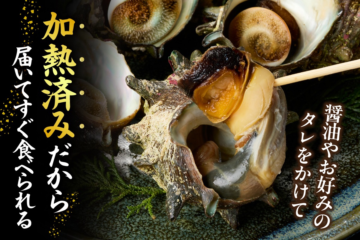 【兵庫県香住産 ボイルサザエ 約1kg（7～10個） 冷凍】国産 さざえ 栄螺 海鮮 新鮮 鮮度抜群 酒の肴 おつまみ おかず 磯 加熱済み 簡単 手軽に味わう磯の香り コリコリ食感 香住の海の恵み 夏休み BBQ バーベキュー キャンプ お盆 海 海水浴 日本海 おすすめ 兵庫県 香美町 香住 宿院商店 33-33