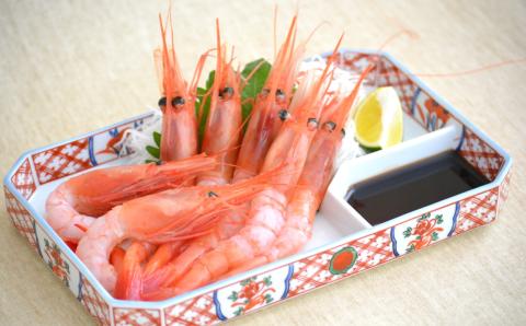 先行予約【兵庫県香住産 白いか 甘えび お刺身用セット 白いか（剣先いか）5～8杯（約1kg）甘えび30～40尾前後（約800g）冷凍】 令和8年6月下旬以降、順次発送予定 鮮度抜群 短時間で急速冷凍 白イカ 甘エビ 刺身 セット 詰合せ 国産 産地直送 新鮮 海鮮 ふるさと納税　おすすめ 返礼品 兵庫県 香美町 香住 宿院商店 28000円 33-05