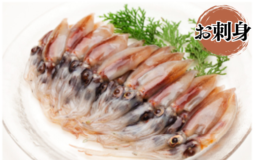 【先行予約】【ほたるいか バラエティーセット5種 合計980g 香住産 冷凍】令和8年3月下旬以降順次発送予定 刺身用ホタルイカ（250g×2）、ボイルホタルイカ（200g×1）、ホタルイカ醤油漬け（200g×1）、ホタルイカ素干し（40g×1）、ホタルイカみりん干し（40g×1）鮮度抜群 ホタルイカ加工品セット 酒の肴 おつまみ 兵庫県 香美町 香住 宿院商店 33-06