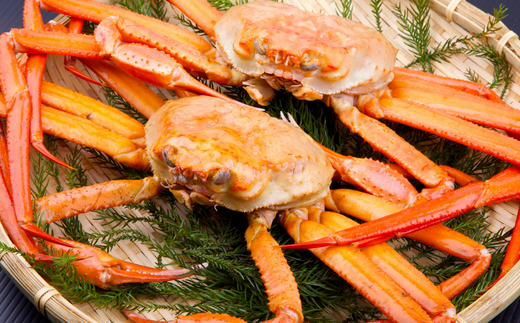 【兵庫県香住産 釜茹で香住ガニ（紅ズワイガニ）2～3匹 冷蔵】新鮮な香住ガニ 絶妙な塩加減で茹で上げ ミネラル豊富な海洋深層水域で育ったカニ 関西では「香住漁港」だけしか水揚げを許可されていない特産品 足が1～2本折れたカニが混ざる場合がございます かに おすすめ 兵庫県 香美町 宿院商店 33-21