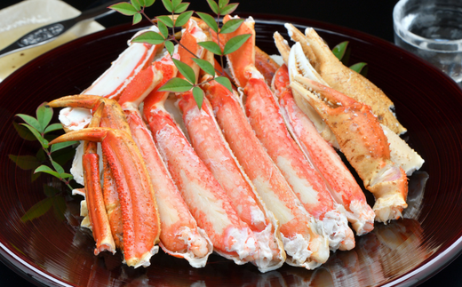 【特選 釜茹で 松葉ガニ 1匹（約800g～900g）冷蔵】 香住で水揚げされた新鮮な松葉ガニを熟練の職人が茹で上げます。水揚げ当日に茹でたてを発送します。カニの本場 香住 新鮮 国産 鍋 かにすき 脚 足 爪 身 肩 大人気 ふるさと納税 兵庫県 香美町 香住 柴山 ズワイガニ 宿院商店 100000円 33-28