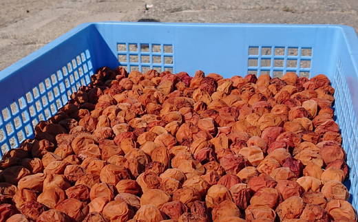 【仙古屋のうめぼし 200g×5個】ご入金確認後、順次発送  カビ発生防止の為、酒類、酢、及び調味料、防腐剤等不使用 絶妙な旨味 焼酎の梅割り、食欲不振、夏バテ、健康志向の方に、是非、お勧め 香美町産 香住産 日本海 山陰 senco-ya（仙古屋）14000円 42-04  