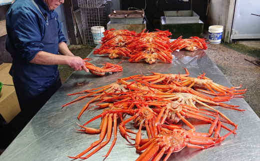 【釜茹で香住ガニ 2～3杯（1.6～1.8kg分）冷蔵】水揚げがあり次第順次発送 配送日指定不可 香住がに 紅ずわいがに 紅ズワイガニ カニ かに 蟹 ボイル ふるさと納税 おすすめ 兵庫県 香美町 香住 32000円 今西食品 49-02