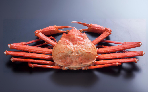 【釜茹で香住ガニ 2～3杯（1.6～1.8kg分）冷凍】配送日時指定可 国産 香住 香住がに 紅ずわいがに 紅ズワイガニ カニ かに 蟹 ボイル 茹で おすすめ 兵庫県 香美町 今西食品 49-03