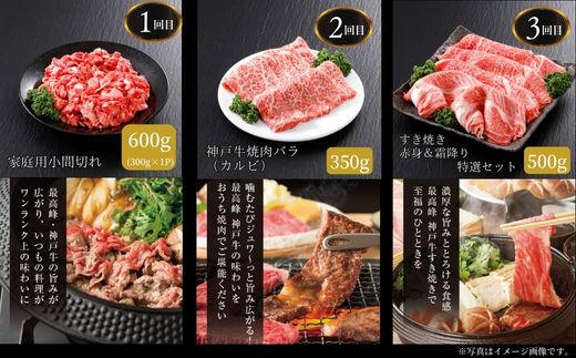 神戸牛 定期便 平山牛舗の厳選神戸牛 月1回発送 全6回 冷凍 牛肉 香美町 61-14