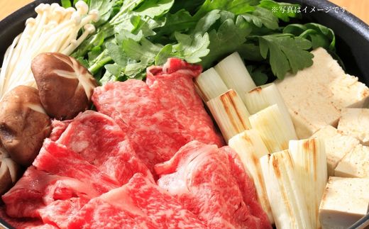 【神戸牛赤身スライス 1kg（500g×2） 冷凍】発送目安：入金確認後1ヶ月程度 ※配送日の指定はできません 大人気 人気ふるさと納税 返礼品 おすすめ ランキング しゃぶ 牛肉 ステーキ しゃぶしゃぶ すき焼き 焼肉 但馬 神戸 兵庫県 JA たじま肉の店本店 52000円 72-06