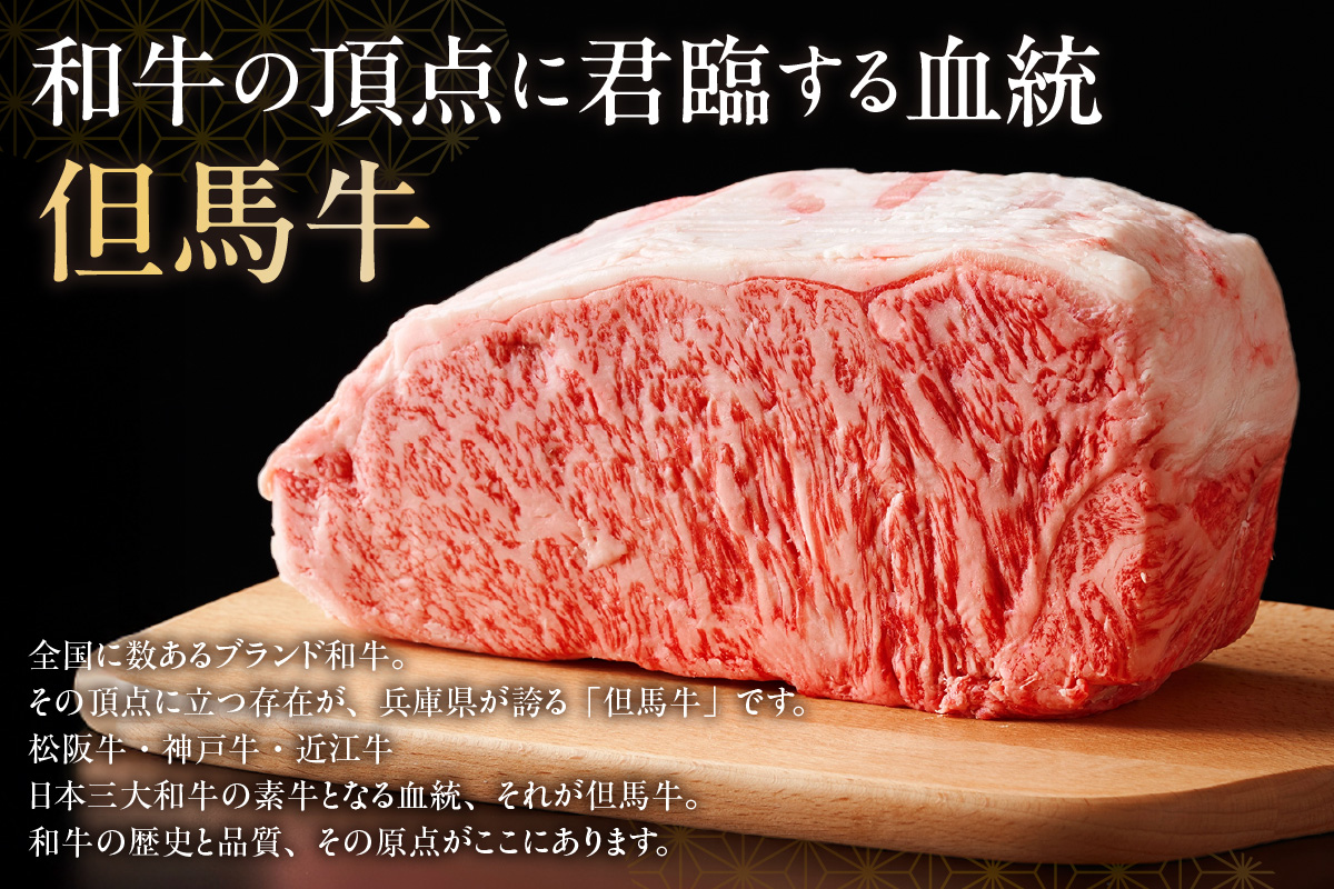 但馬牛 サーロインステーキ 2枚（200g×2枚入り）合計400g 香美町 牛肉 73-06
