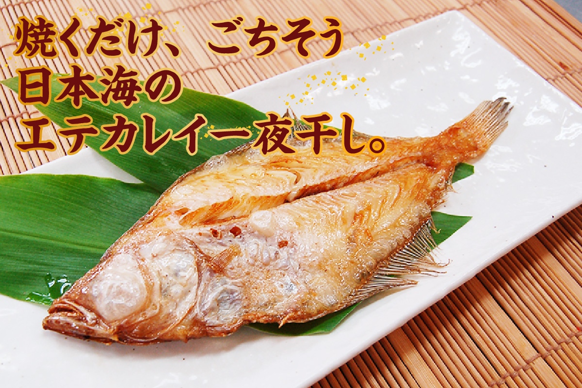 山陰 名産 エテカレイ 一夜干し 6枚 冷凍 かれい 香美町 74-11