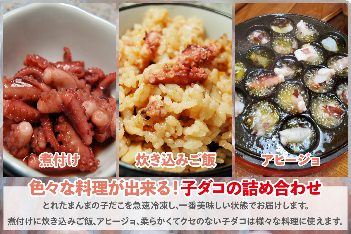 【とれたまんまを急速冷凍 やわらか子ダコ 500g×2袋 1kg 冷凍】ご入金確認後、順次発送予定 国産 小だこ 生 真空パック 産地直送 鮮度抜群 タコ たこ 海鮮 ふるさと納税 おすすめ 返礼品 兵庫県 香美町 香住 山米鮮魚 11000円 74-28